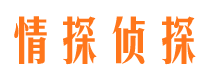 杨凌找人公司